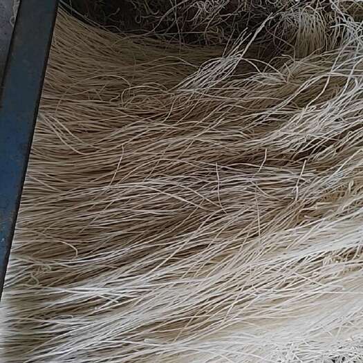 邯郸常年有，自己种的红薯粉条