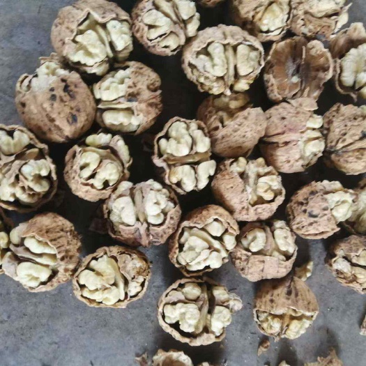 宜宾皮薄，个大，仁白
