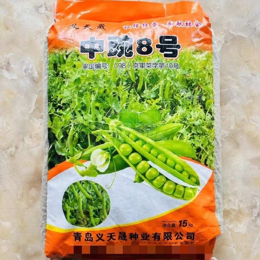豌豆角300亩-基地直供