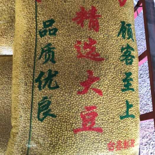 太和县￼ 湖北豆-大豆黄豆商品豆