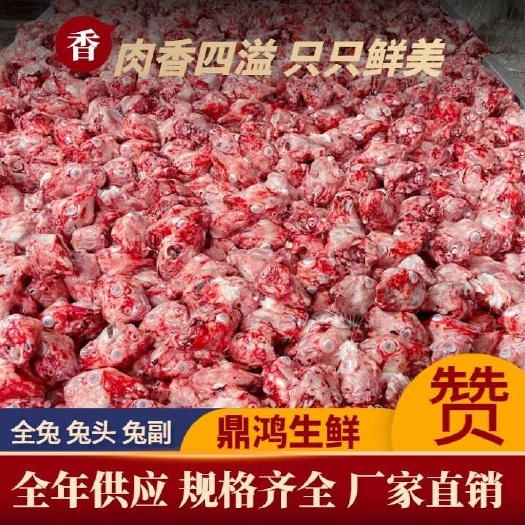新鲜兔头大 中 小规格长年供应