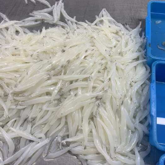 大连淡水小银鱼， 尺寸： 7-10厘米， 原汁干料无泡水，