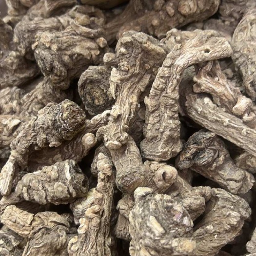成都无硫纯干当归头 道地岷县货