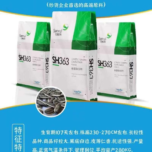 北屯市葵花363种子