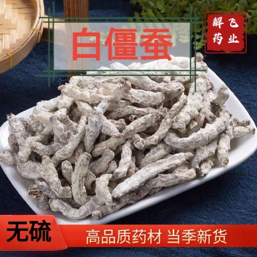 亳州僵蚕 精选水洗，含量合格高品质，带玻璃碴