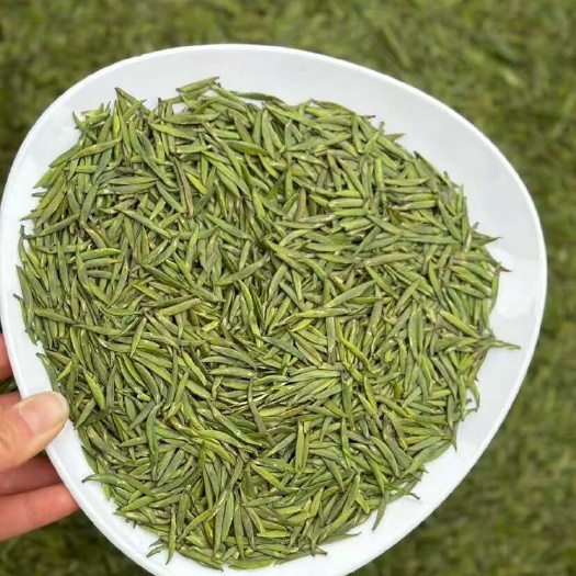 雅安早春独芽雀舌