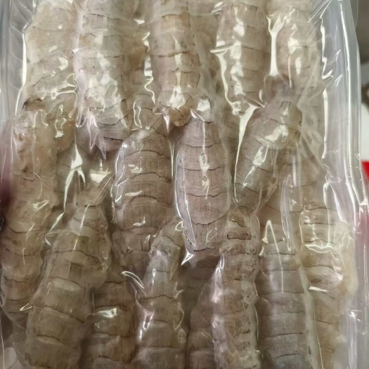 昌黎县纯正渤海湾皮皮虾肉（无冰衣）纯手工一手货源