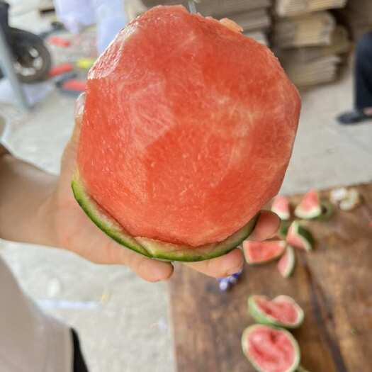 砀山县全美2k西瓜  开始上市，包熟包甜包售后，对接全国各级批发商