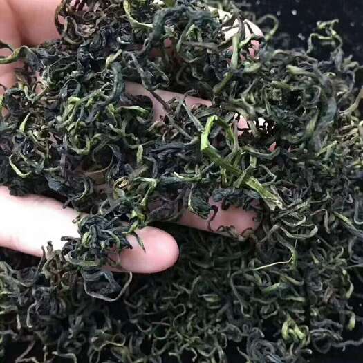 亳州蒲公英 蒲公英茶 婆婆丁