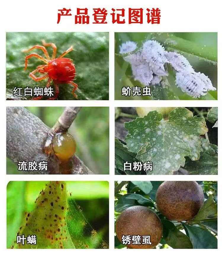 石硫合剂果园清园果树清园剂苹果梨树干防虫涂白剂红蜘蛛正品批发