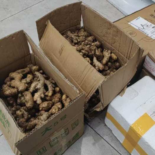 蒙自市云南小黄姜一件也可发货