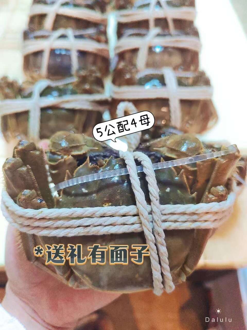 苏州精品阳澄湖镇大闸蟹活蟹现发礼盒装