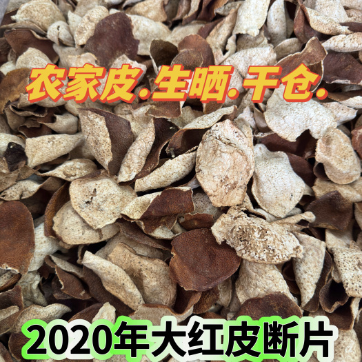 2020年陈皮断片 新会陈皮 大红皮 茶枝柑源头批发 陈皮碎