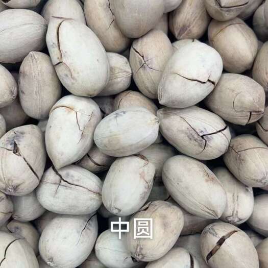 郑州碧根果 一件十斤 批发价 全国发货