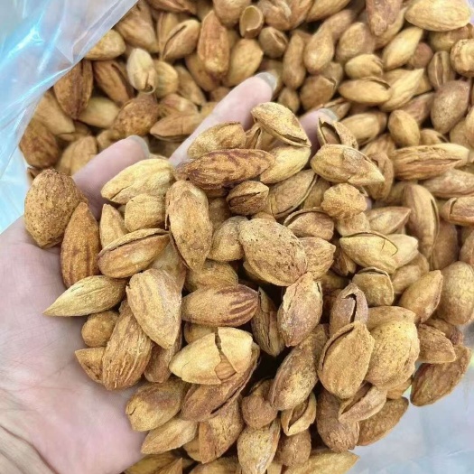 郑州手剥巴旦木 NP巴旦木 整箱散装