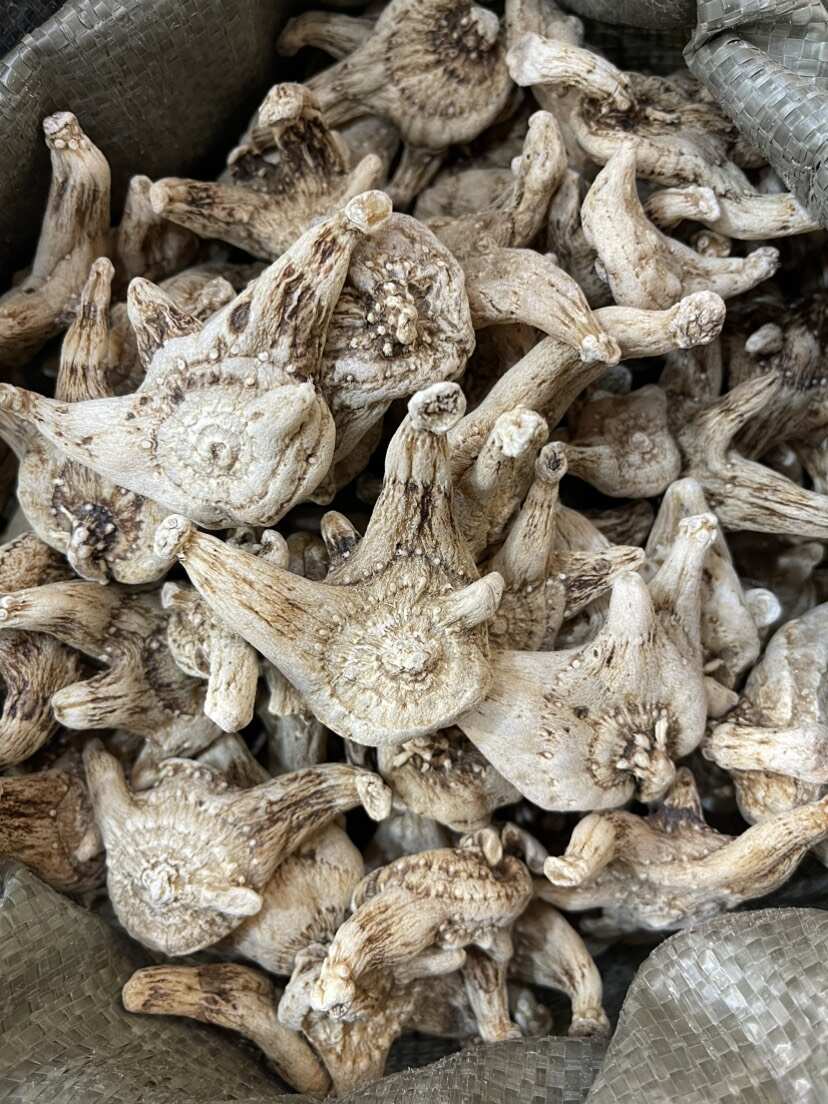 白芨中药材白及旱白芨正品批发包邮