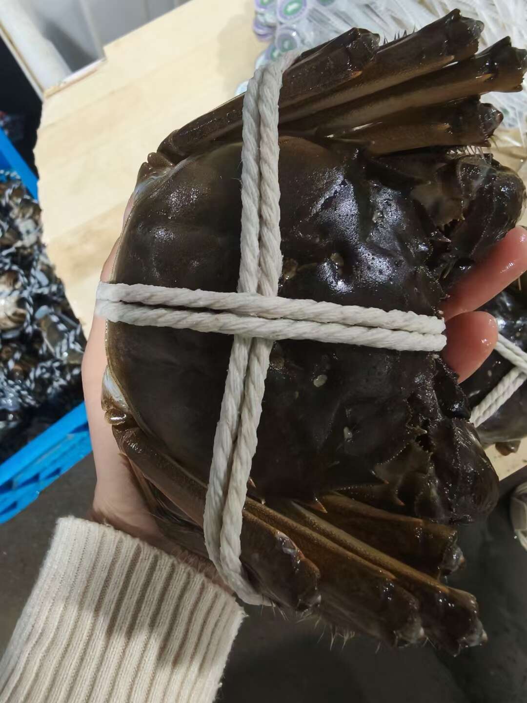 苏州精品阳澄湖镇大闸蟹活蟹现发礼盒装