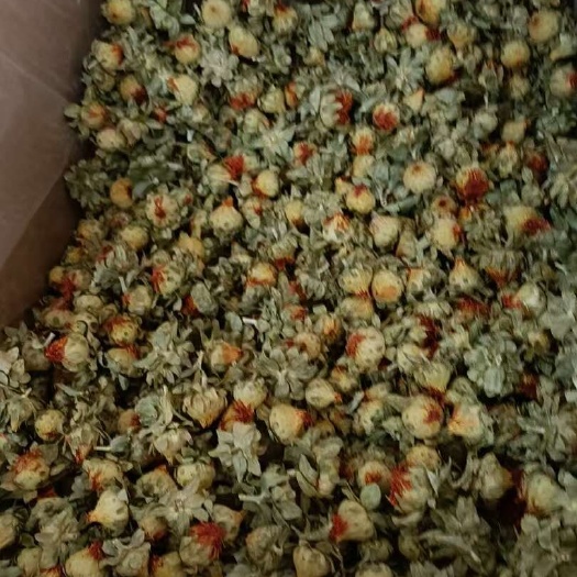 亳州红花头 红花朵  量大从优