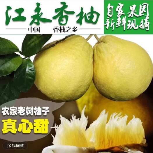 江永县江永香柚