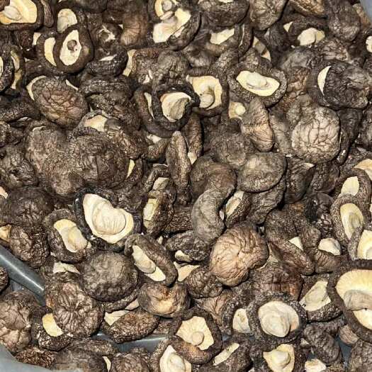 【干香菇】河南泌阳特产干香菇 原产地发货 量大价低