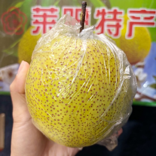 莱阳香水梨，沙土种植香甜多汁，两种规格，都是好果，能放到春节