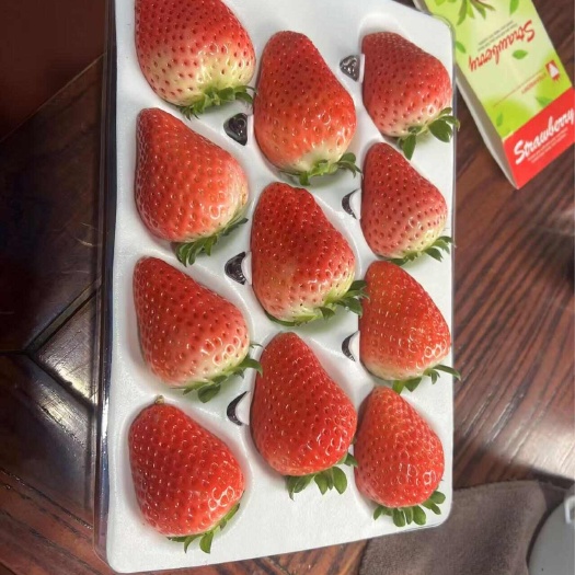 商丘河南商丘草莓天仙醉红颜特级草莓