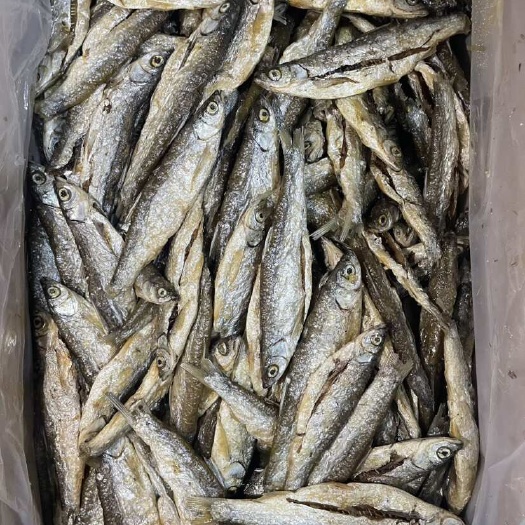 鱼干 油炸小鱼干无盐鱼干刁子鱼 白条鱼 餐条鱼干