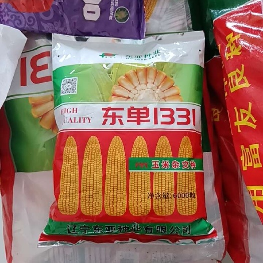 故城县东单1331玉米种子