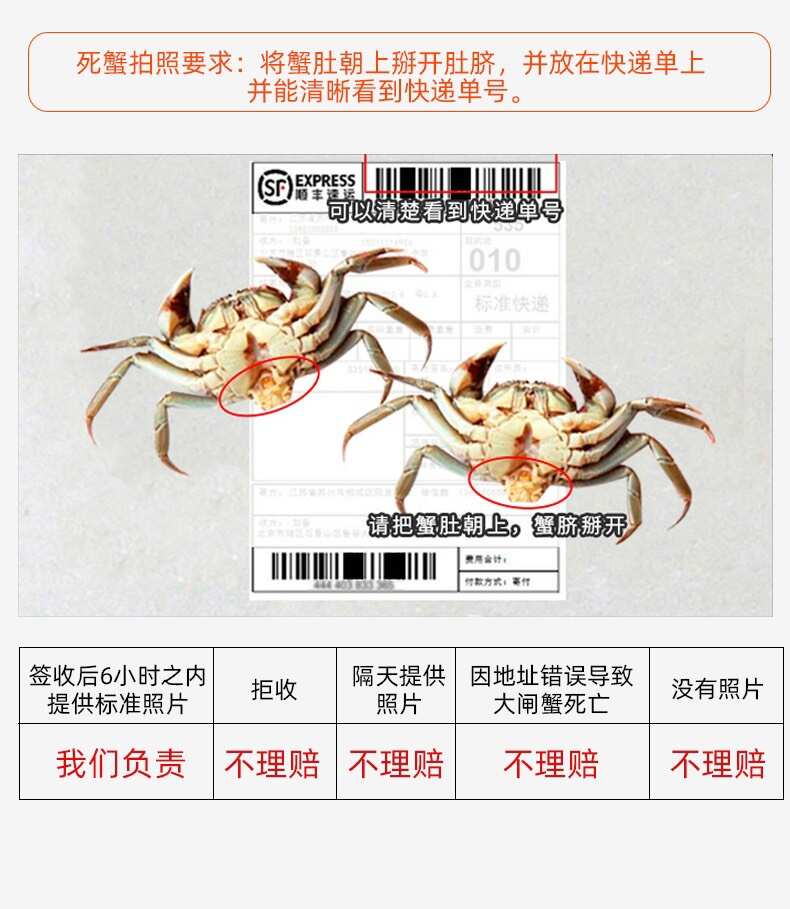 阳澄湖镇大闸蟹新鲜现捞快速发货