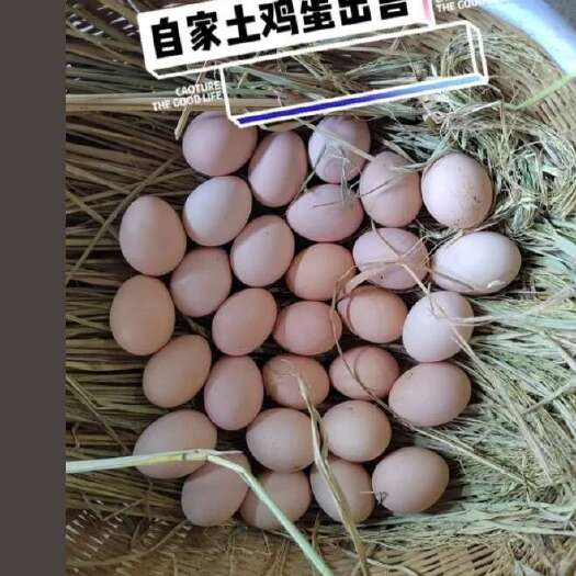 六盘水农家土鸡蛋