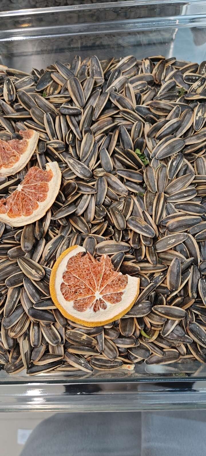 湖南岳麓区特产炒货干果瓜子 花生  蚕豆  葡萄干