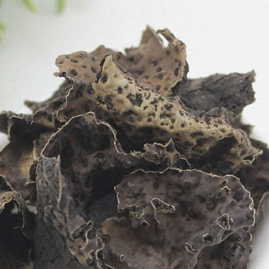 亳州石耳 现货供应 量大详谈 价格从优
