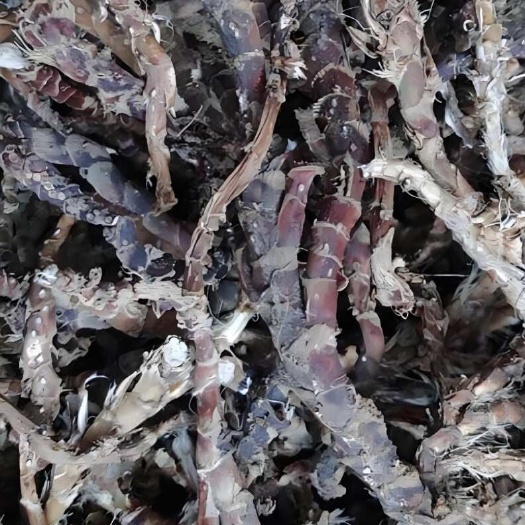 麻城市大别山九节石菖蒲，水质好，产地优，品质有保障