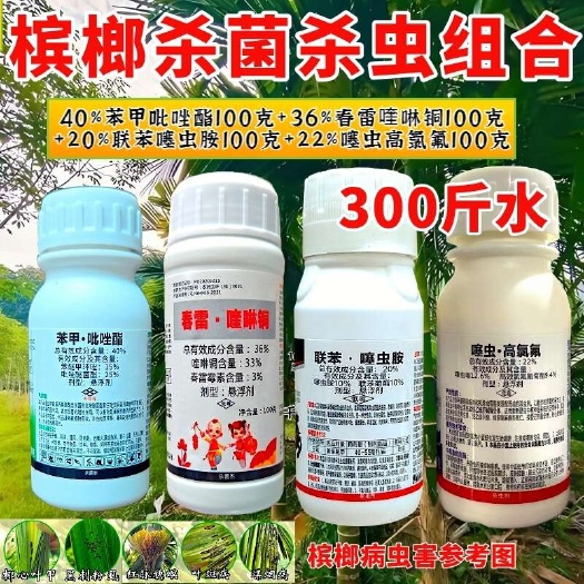 潍坊槟榔杀菌杀虫套餐条斑病芽腐烂心病叶斑椰心叶甲螟蚜虫红脉穗螟