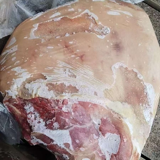 郑州羊排，羊全排