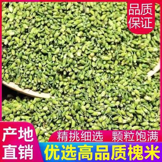 亳州槐米新货槐米中药材槐米茶干净无杂