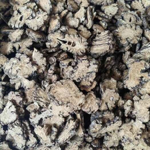 亳州中药材 川芎 各种中药材供应