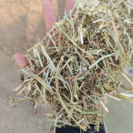 正阳县花生秧