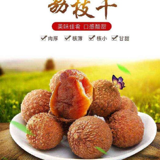 莆田荔枝干肉厚核小精选优质农家特产新货农家老树荔枝