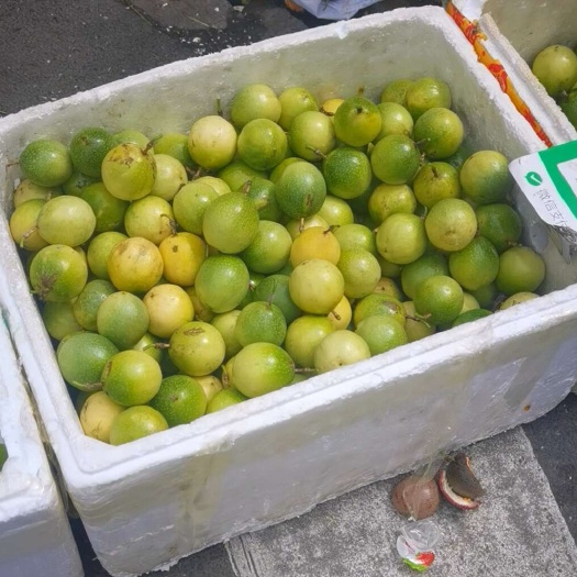 通道县百香果