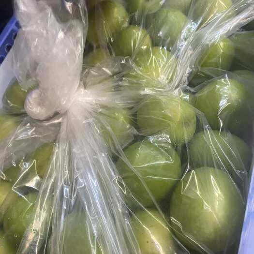 元谋县云南青枣