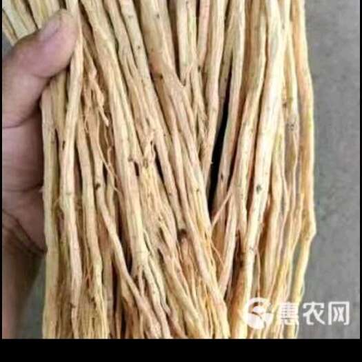 平顺县潞党参，农家自种