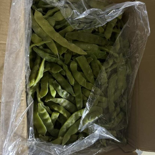 天津油豆角
