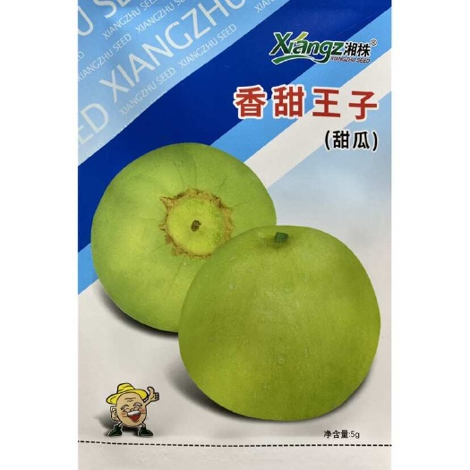 长沙香甜王子甜瓜种子老品种水果甜瓜籽大田种植蔬菜种子甜瓜种籽