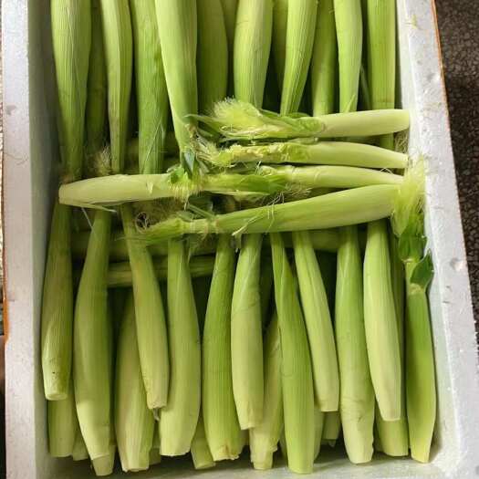 带壳玉米笋