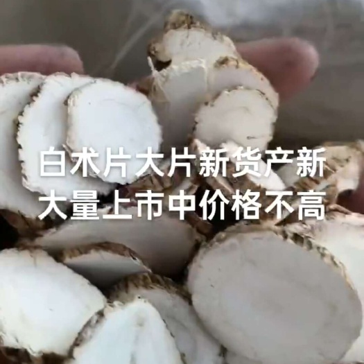无硫白芷片调料白芷片24年新货产地直销