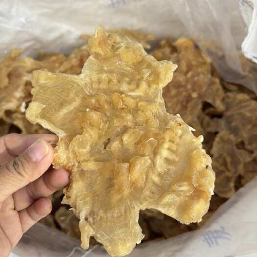 北海赤胶片，厚款。9-10个一斤