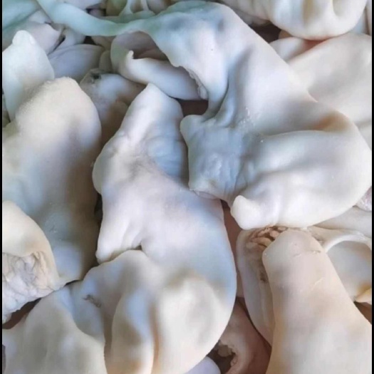 金乡县羊宝皮，