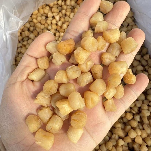 北海干贝瑶柱 淡干 足干 480粒一斤 30斤一箱 干货批发