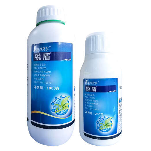 南宁锐盾72%百菌清白菌菌请青悬浮剂番茄西红柿早疫病通用农药杀菌